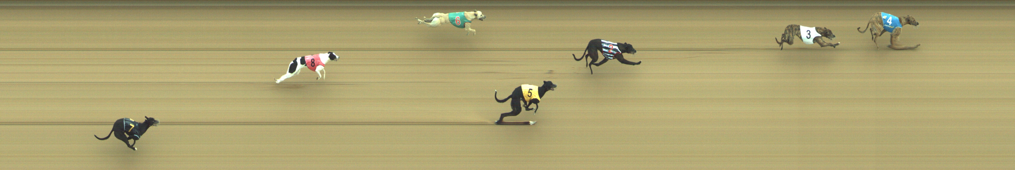 Photo finish for Geelong Race 2