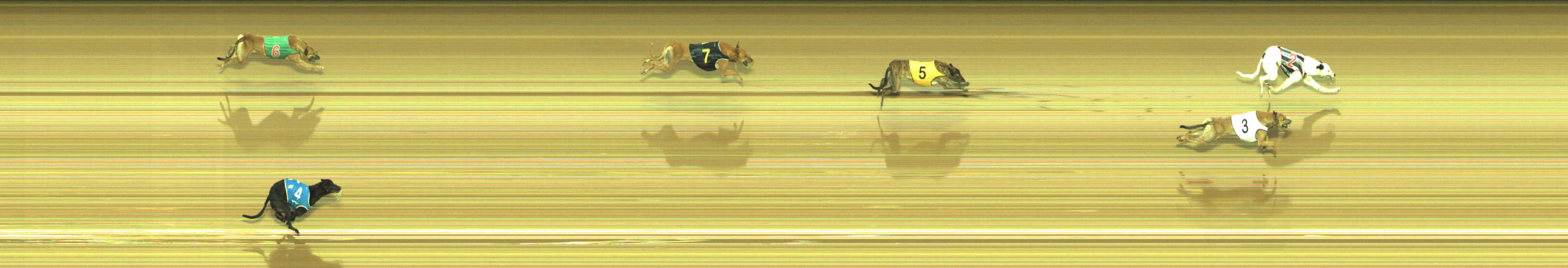 Photo finish for Geelong Race 3