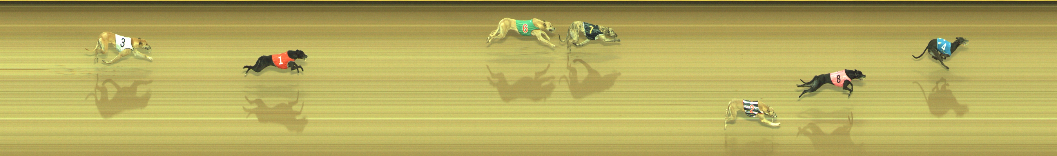 Photo finish for Geelong Race 4
