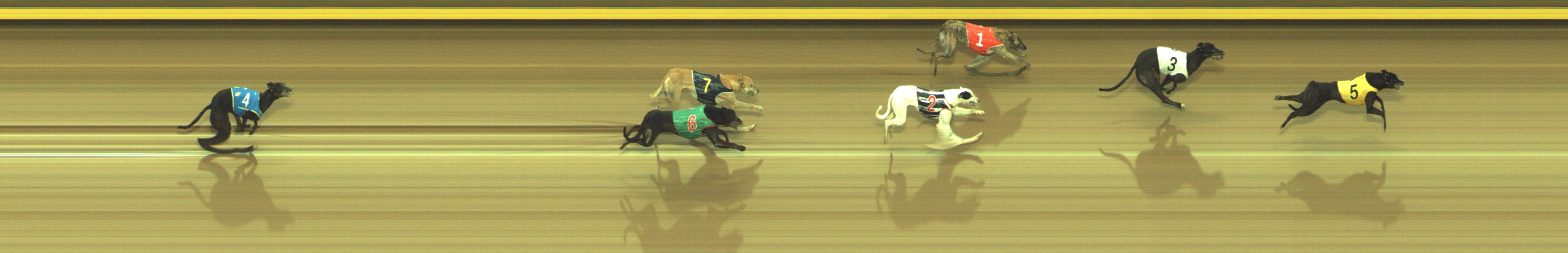 Photo finish for Geelong Race 5
