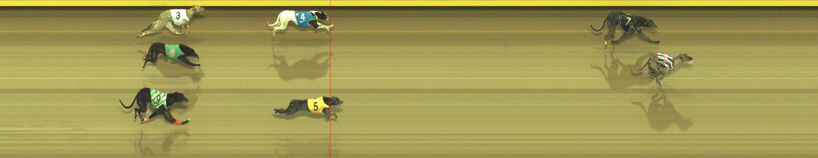 Photo finish for Geelong Race 6