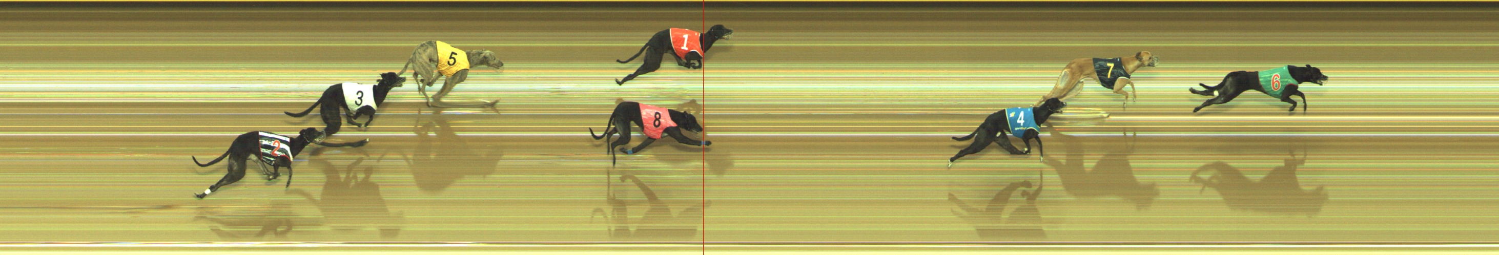 Photo finish for Geelong Race 7