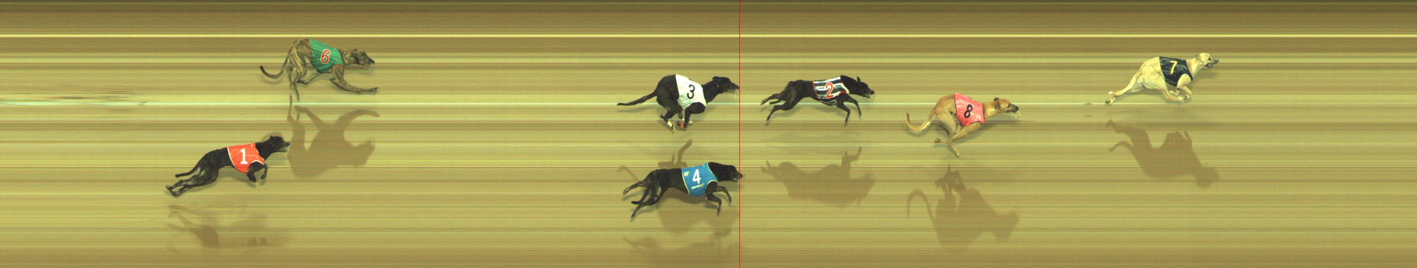 Photo finish for Geelong Race 8