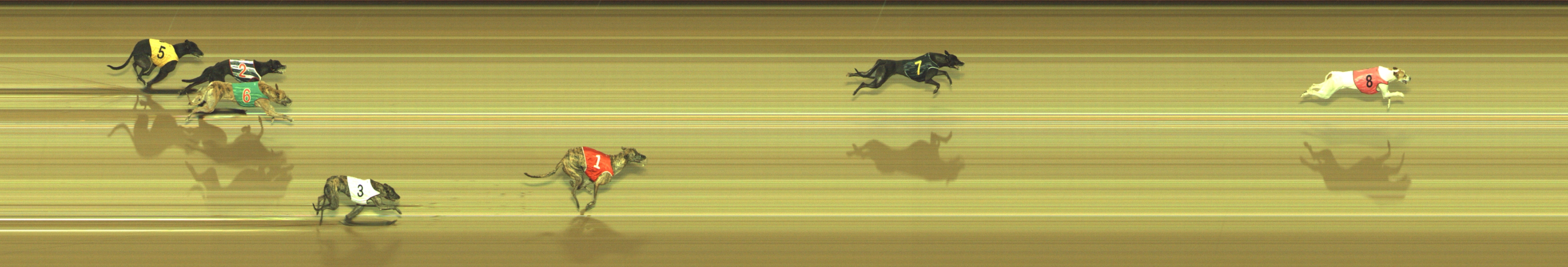 Photo finish for Geelong Race 9