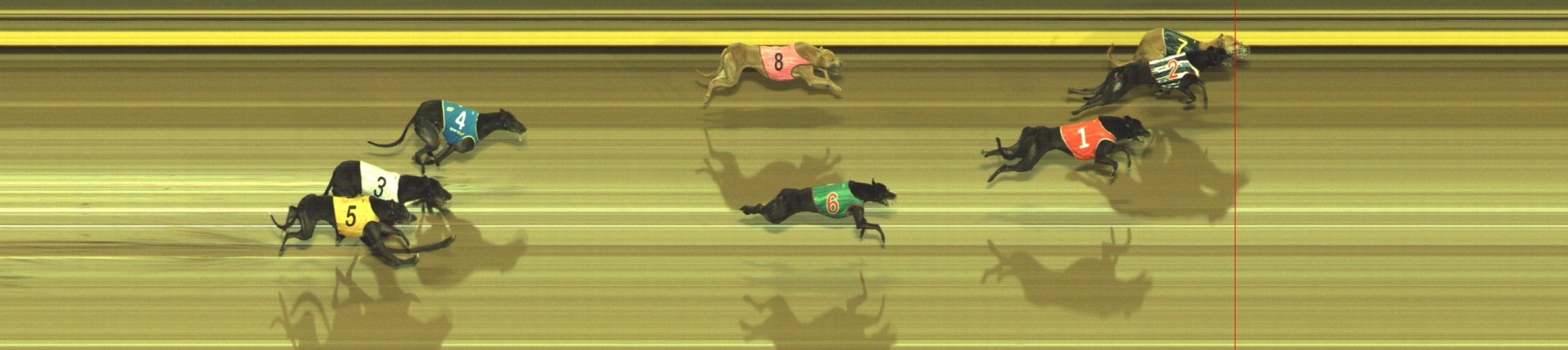 Photo finish for Geelong Race 11