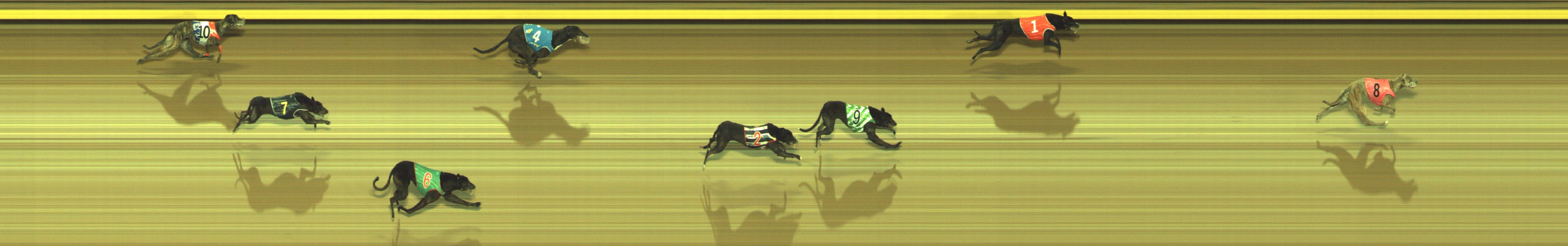 Photo finish for Geelong Race 12