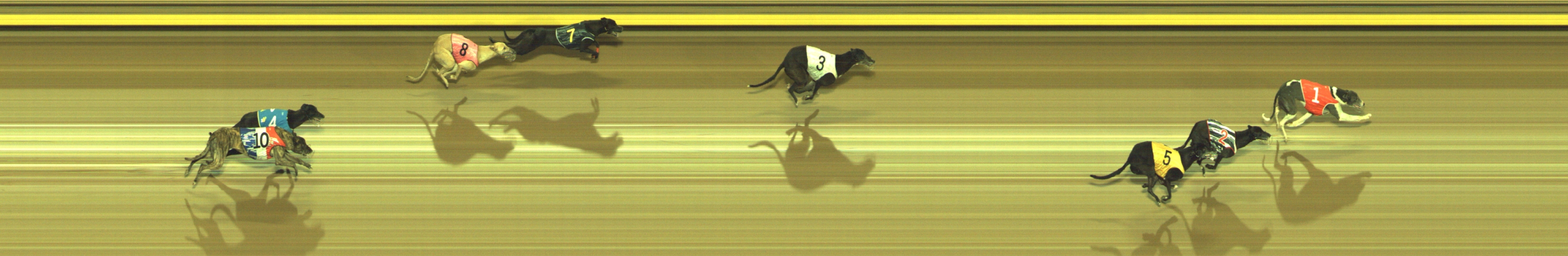 Photo finish for Geelong Race 13