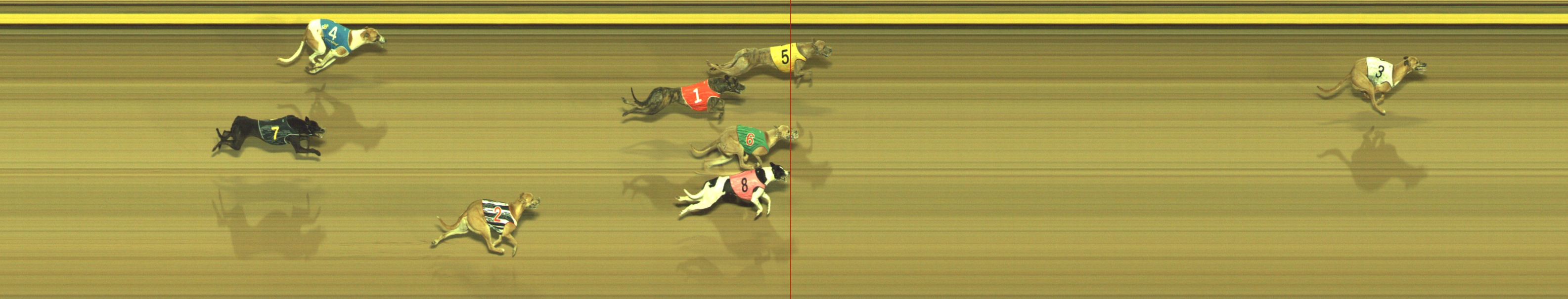 Photo finish for Geelong Race 1