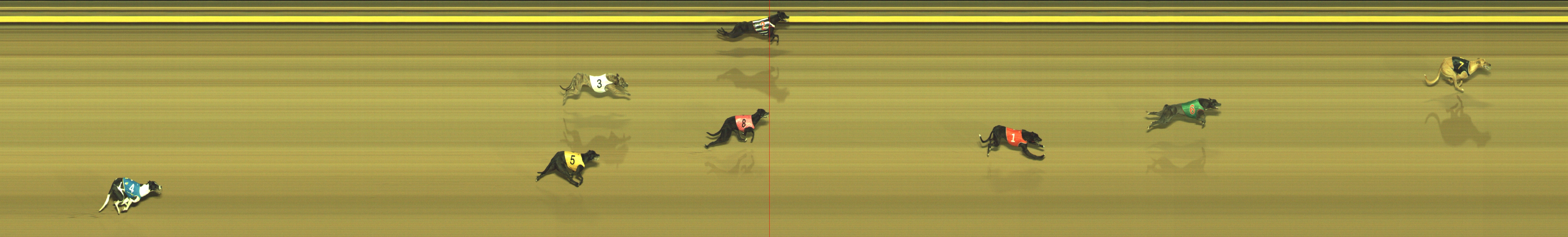 Photo finish for Geelong Race 2