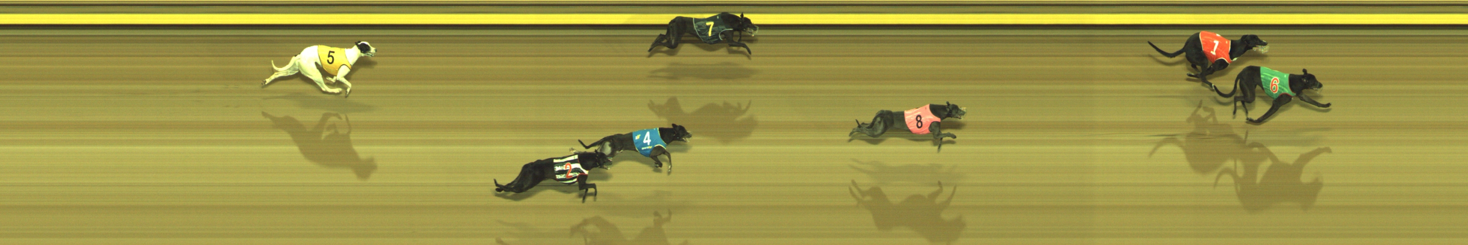 Photo finish for Geelong Race 3