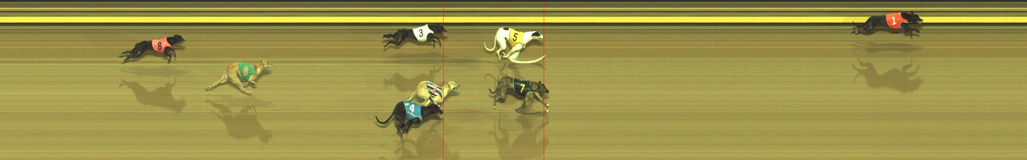Photo finish for Geelong Race 4