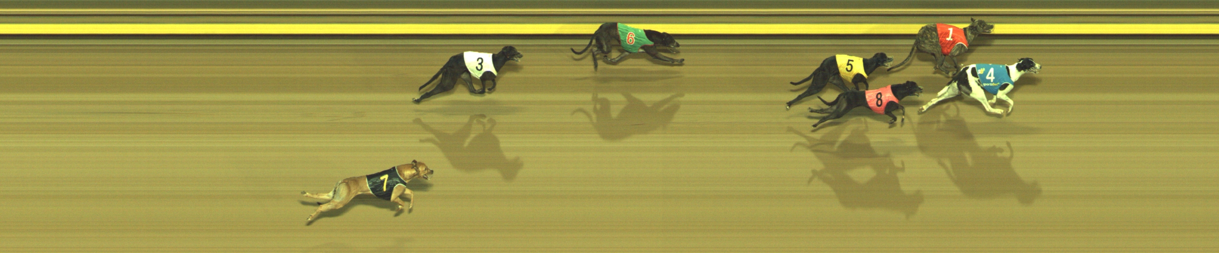Photo finish for Geelong Race 6