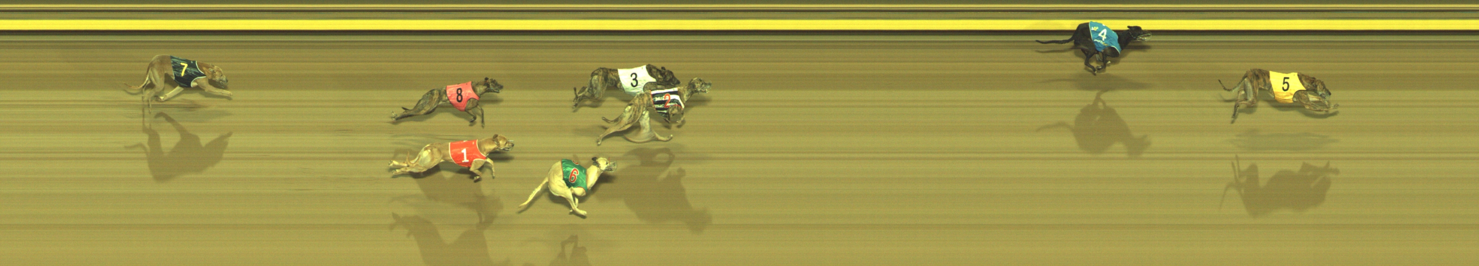 Photo finish for Geelong Race 7
