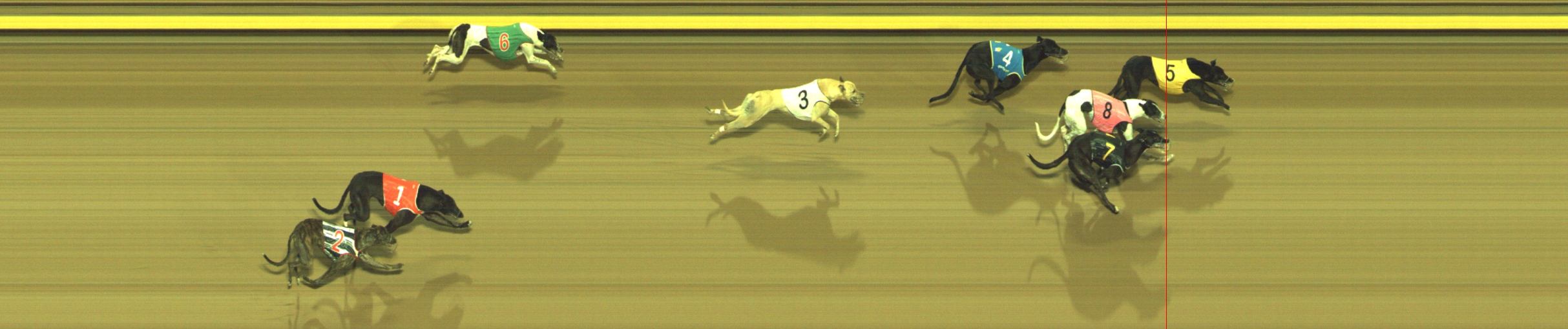 Photo finish for Geelong Race 8