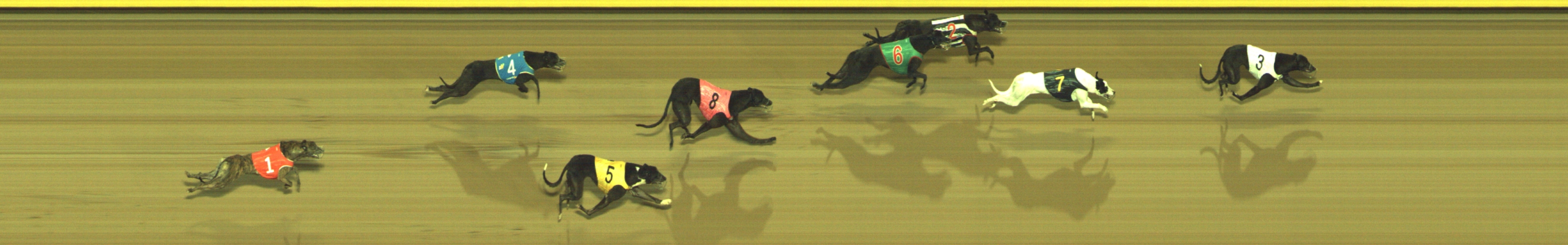 Photo finish for Geelong Race 9