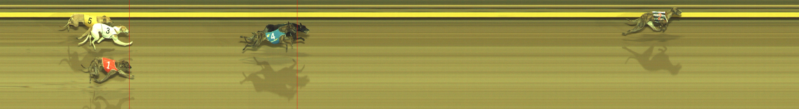 Photo finish for Geelong Race 10