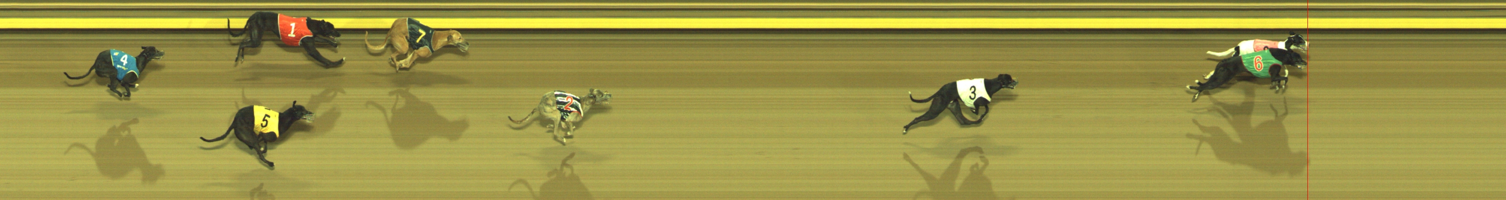 Photo finish for Geelong Race 11