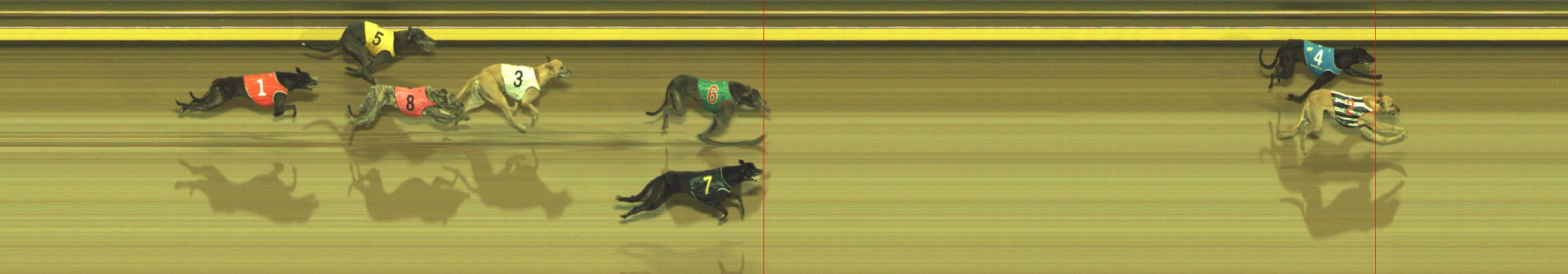 Photo finish for Geelong Race 12