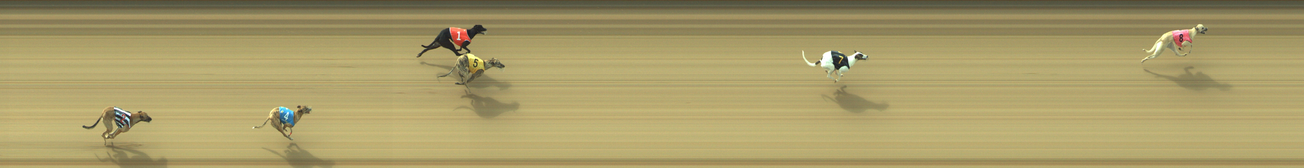 Photo finish for Geelong Race 1
