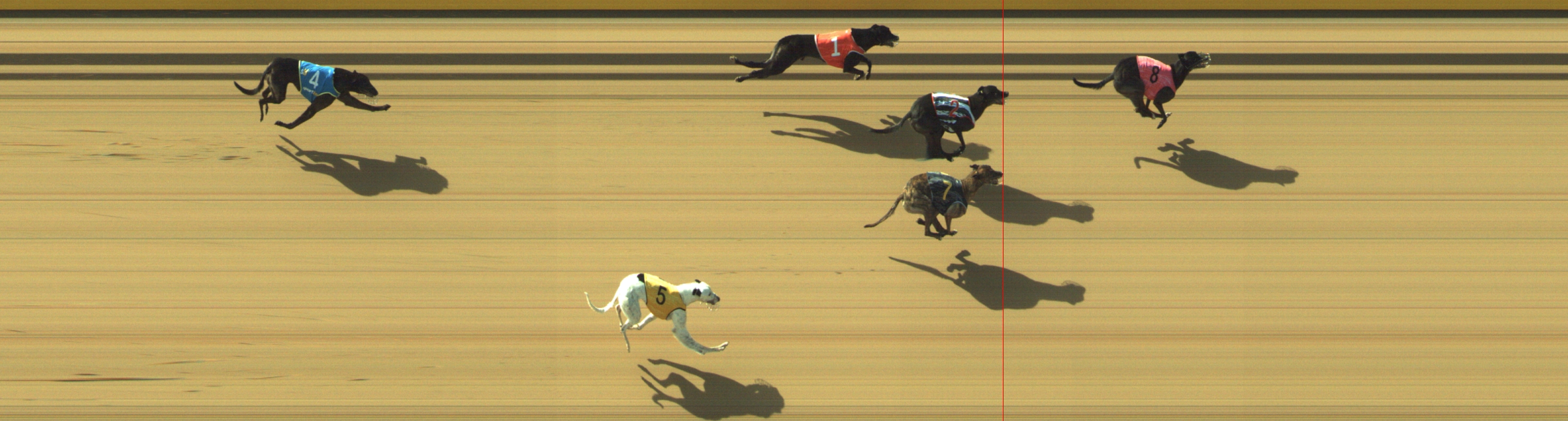 Photo finish for Geelong Race 4