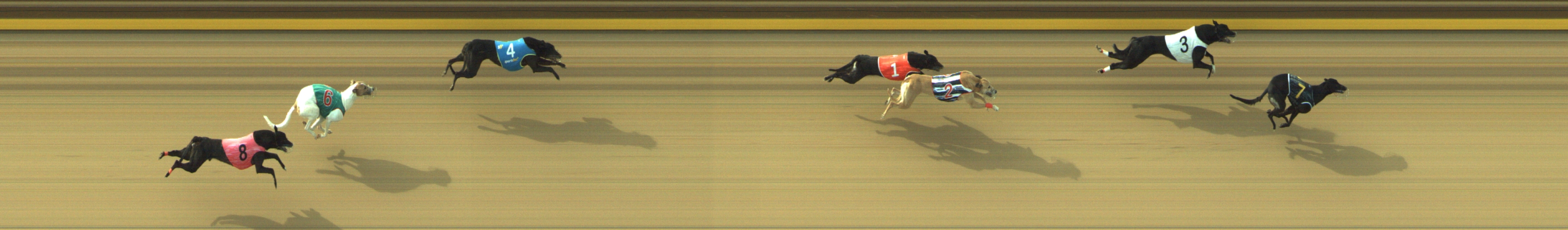 Photo finish for Geelong Race 5
