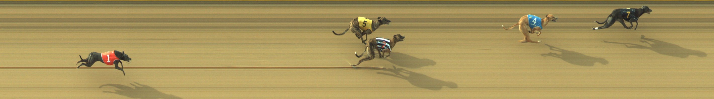 Photo finish for Geelong Race 6