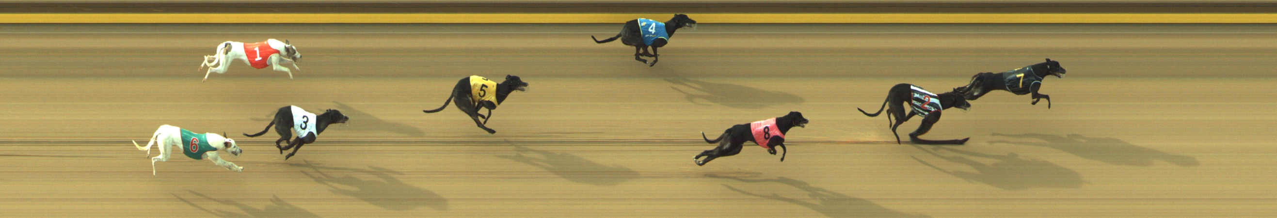 Photo finish for Geelong Race 7