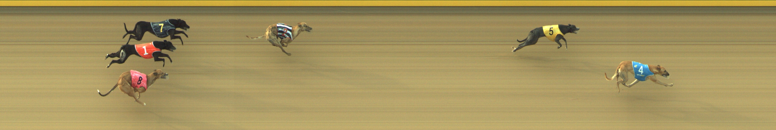 Photo finish for Geelong Race 8