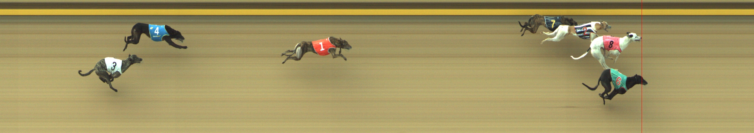 Photo finish for Geelong Race 9