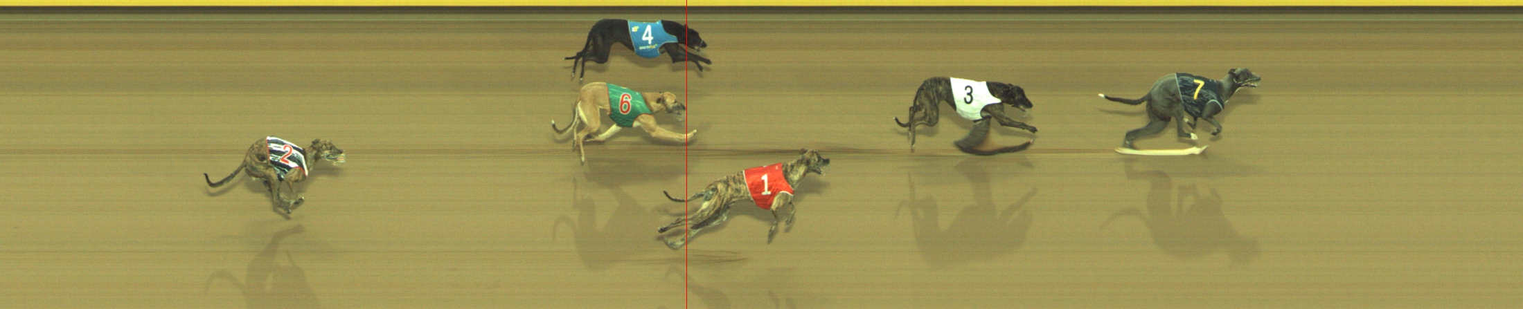 Photo finish for Geelong Race 10