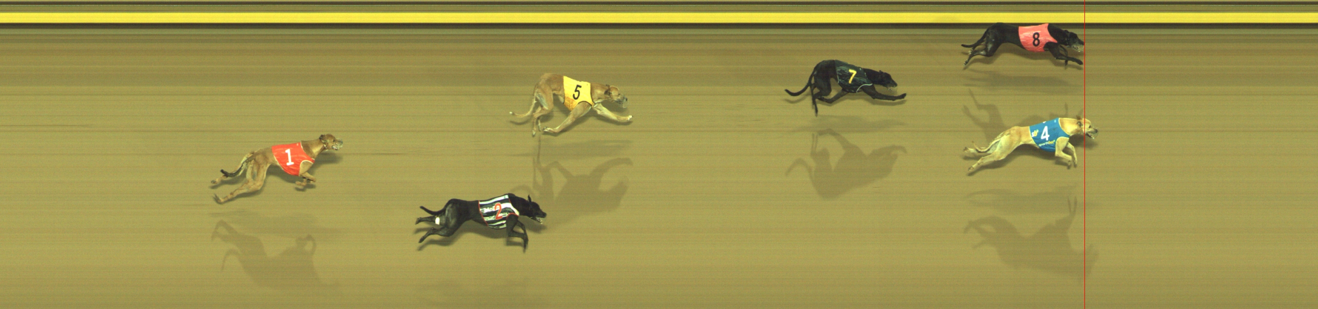 Photo finish for Geelong Race 11