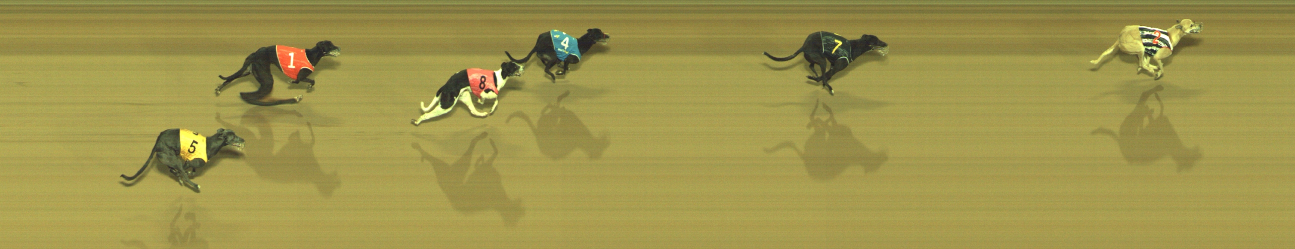 Photo finish for Geelong Race 13