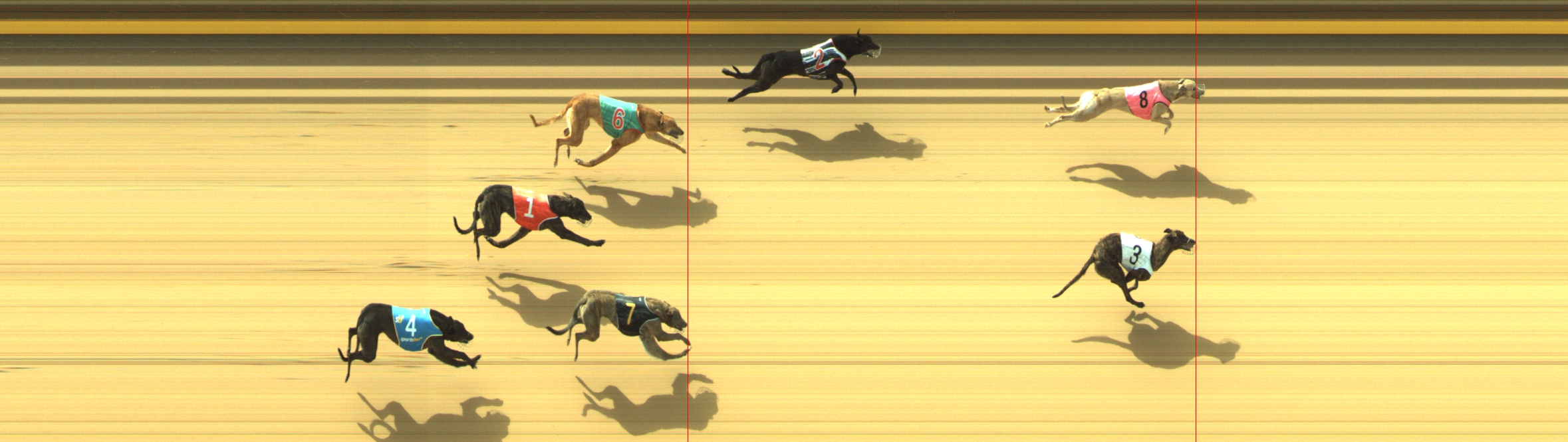 Race result finish photo