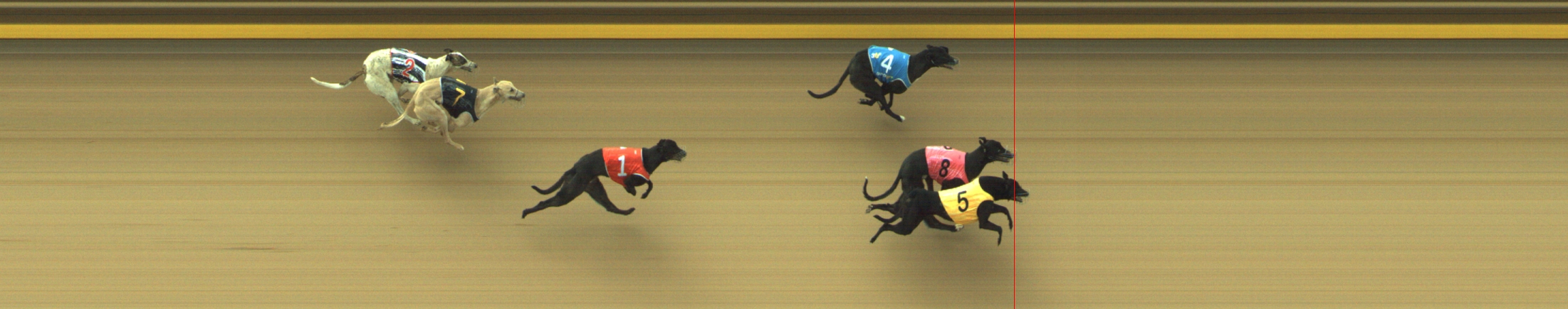 Photo finish for Geelong Race 2