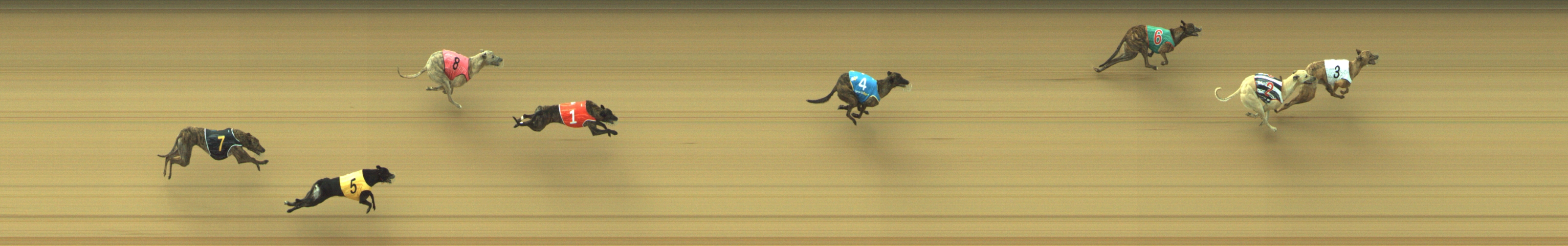 Photo finish for Geelong Race 3