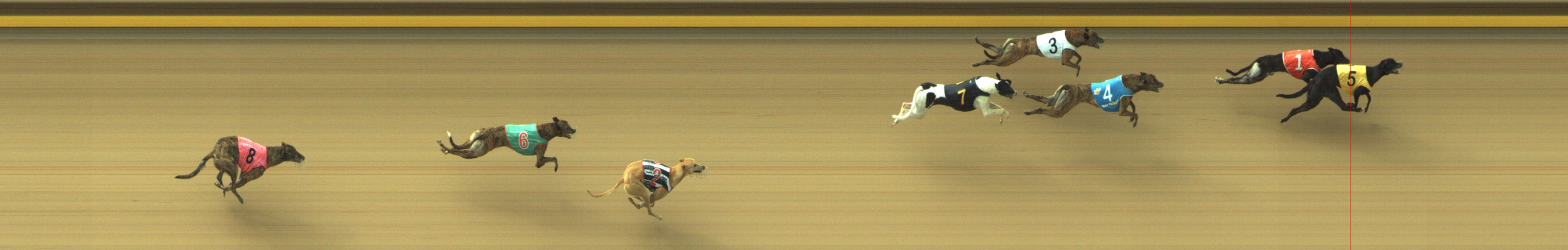 Photo finish for Geelong Race 4