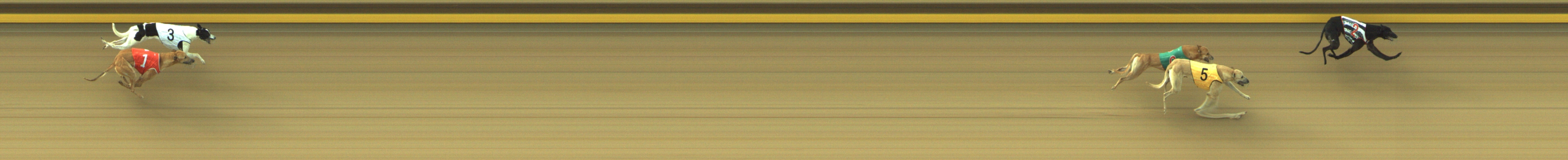 Photo finish for Geelong Race 5