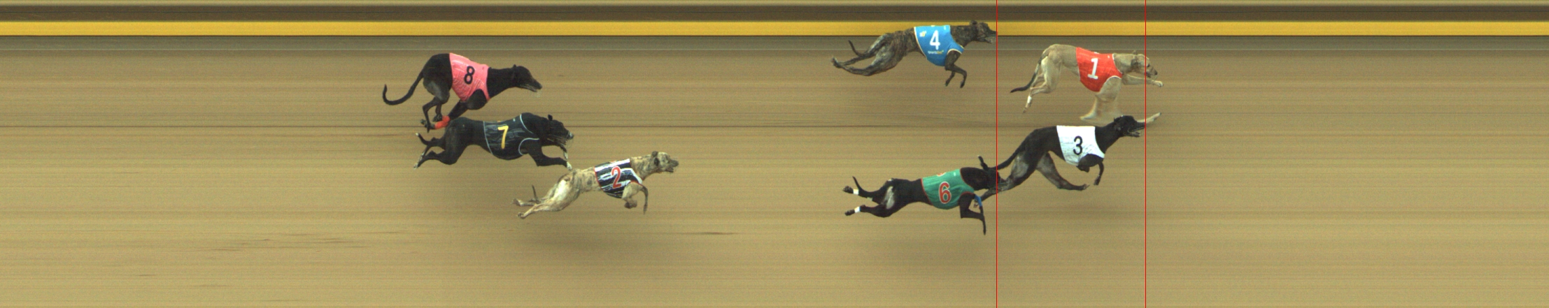 Photo finish for Geelong Race 6