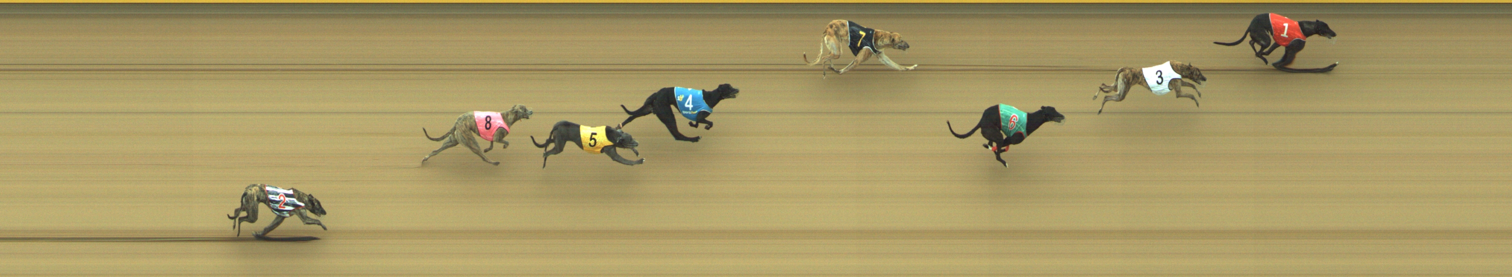 Photo finish for Geelong Race 7