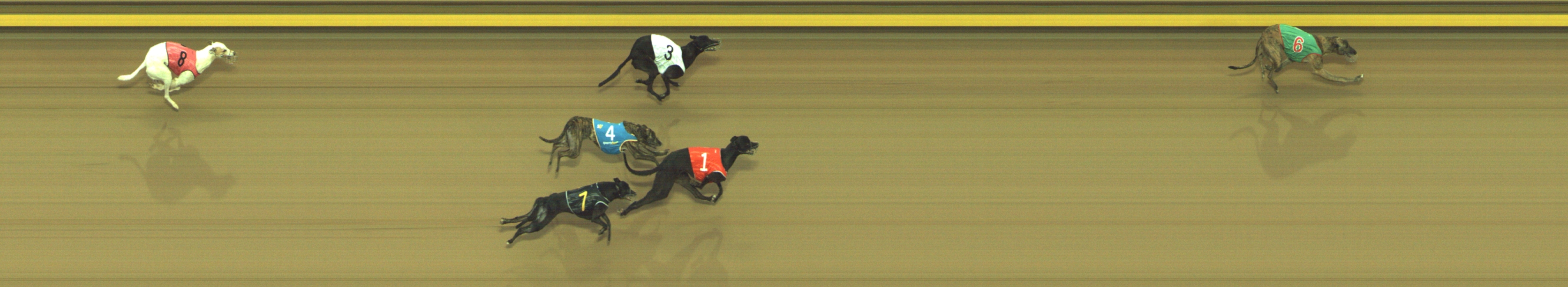 Photo finish for Geelong Race 8