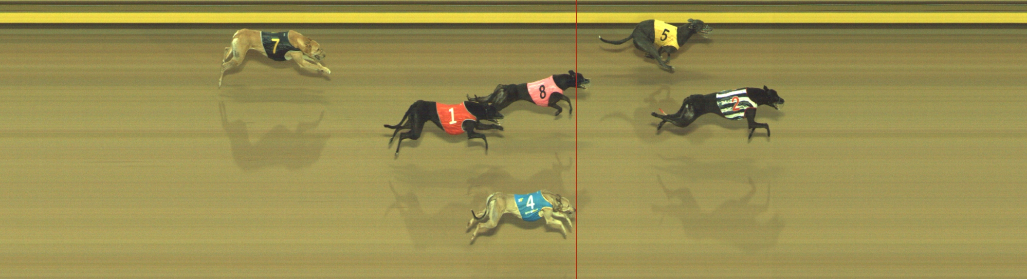Photo finish for Geelong Race 9