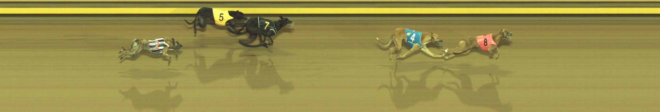 Photo finish for Geelong Race 10
