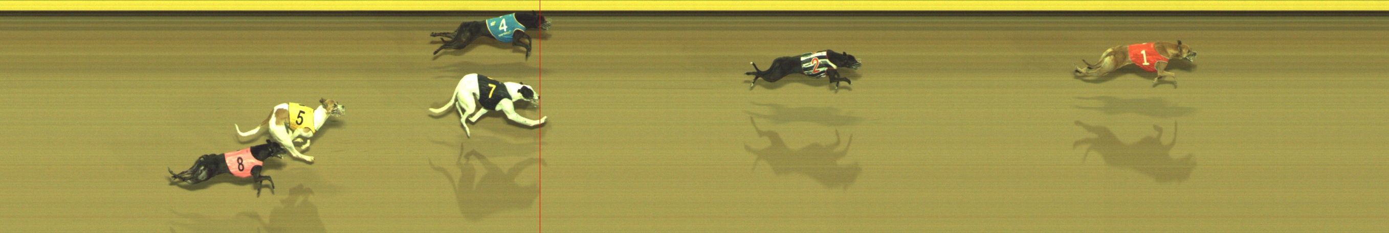 Photo finish for Geelong Race 11