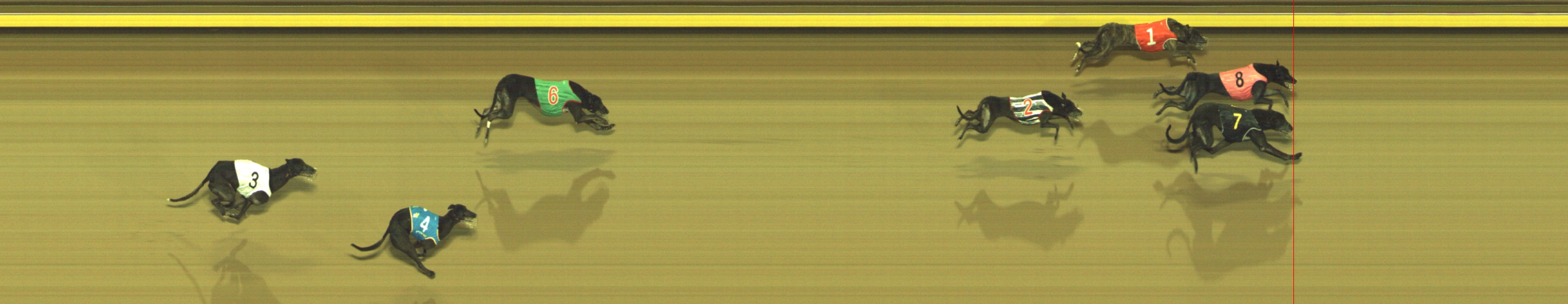Photo finish for Geelong Race 13