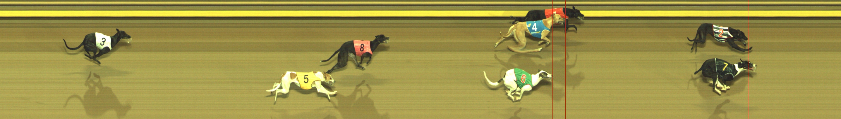 Photo finish for Geelong Race 1