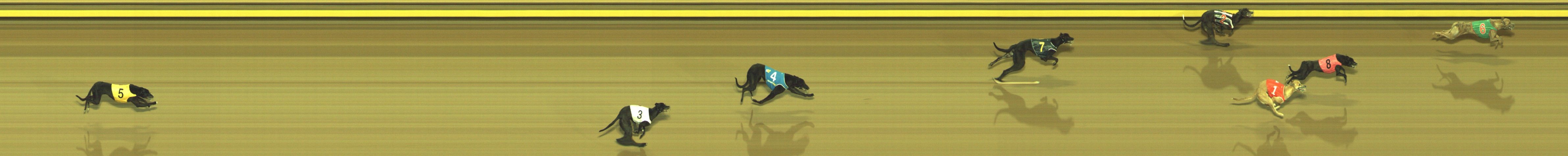 Photo finish for Geelong Race 2