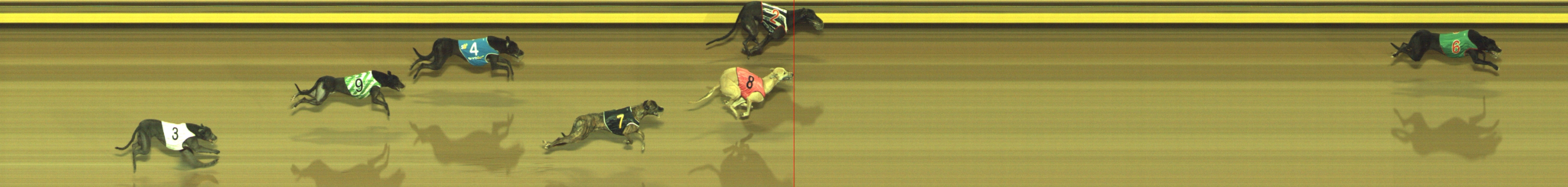 Photo finish for Geelong Race 4