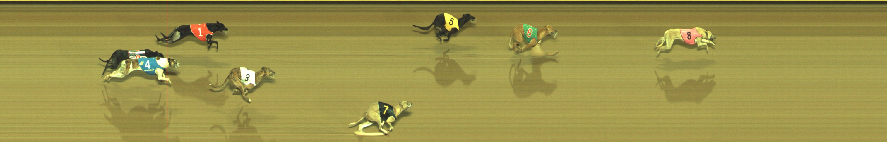 Photo finish for Geelong Race 5