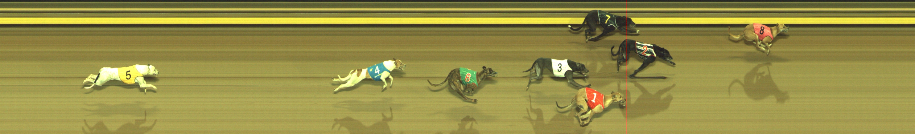 Photo finish for Geelong Race 6