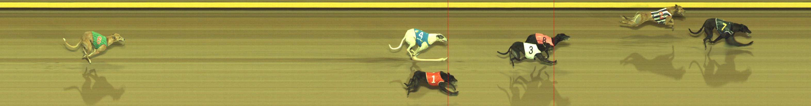 Photo finish for Geelong Race 7